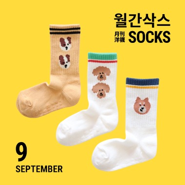 [MONTHLY SOCKS] September 3 pairs 1 SET