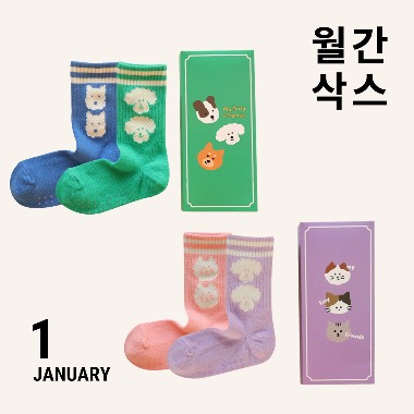 [MONTHLY SOCKS] January 2 pairs 1 SET