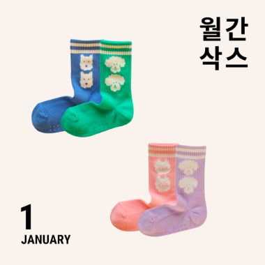 [MONTHLY SOCKS] January 2 pairs 1 SET